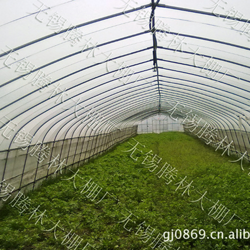 上海建一亩草莓大棚产量