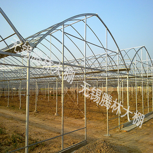 光伏农业大棚造价