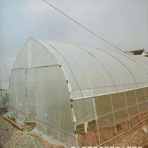 临夏简易大棚造价