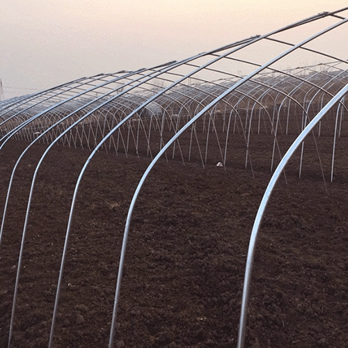 草莓大棚钢管