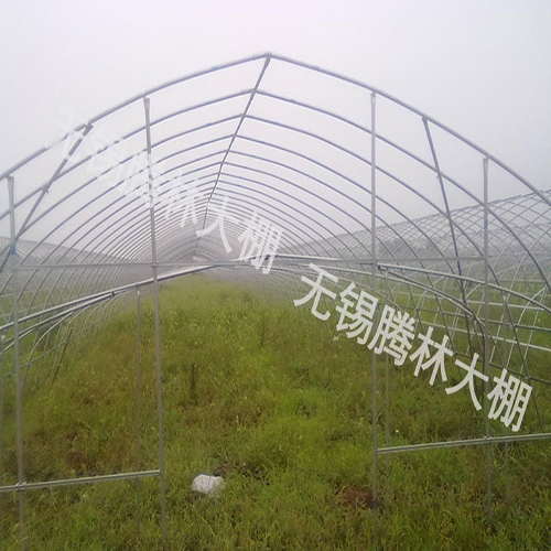 GP832型单体大棚