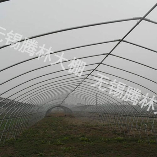 钢管拱棚 土坯大棚