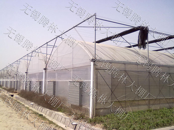 养殖大棚