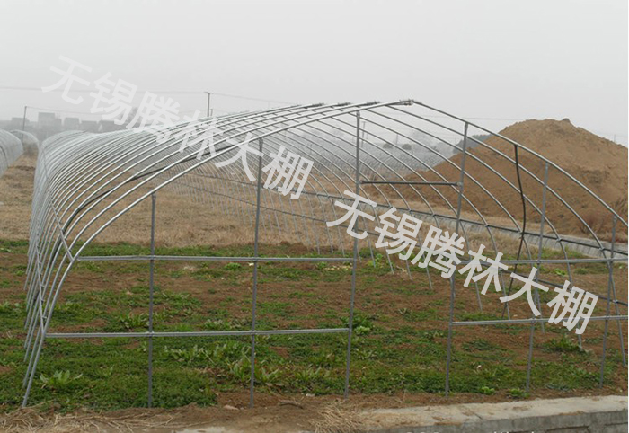 GP622 625 825 832型单体大棚