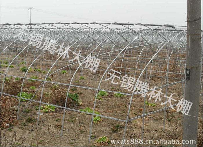  无锡市惠山区西漳腾林农用大棚管厂.jpg