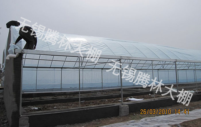 养殖大棚.jpg